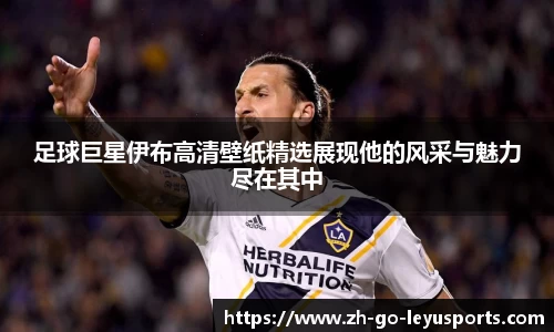 足球巨星伊布高清壁纸精选展现他的风采与魅力尽在其中